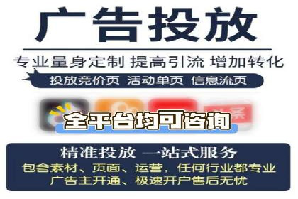 SEM网络推广案例：打造行业影响力品牌